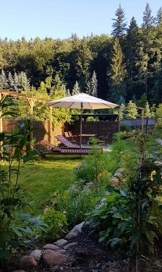 באד פריינוואלדה Ferienwohnung Papenmuehle Am Kurpark מראה חיצוני תמונה